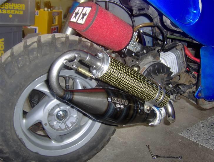 Yasuni C20 billede 29