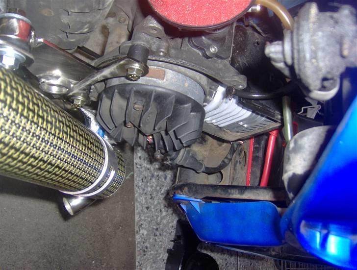 Yasuni C20 billede 30