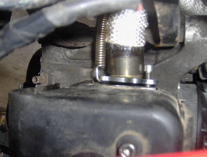 Yasuni C20 billede 31