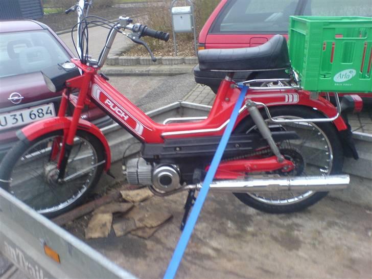Min fine Puch Maxi 2 gear inden salg - Læsset på trailerem og klar til at blive leveret til køberen, som i øvrigt lagde de 4800kr. dagen før, da han var og kigge på den :p billede 3