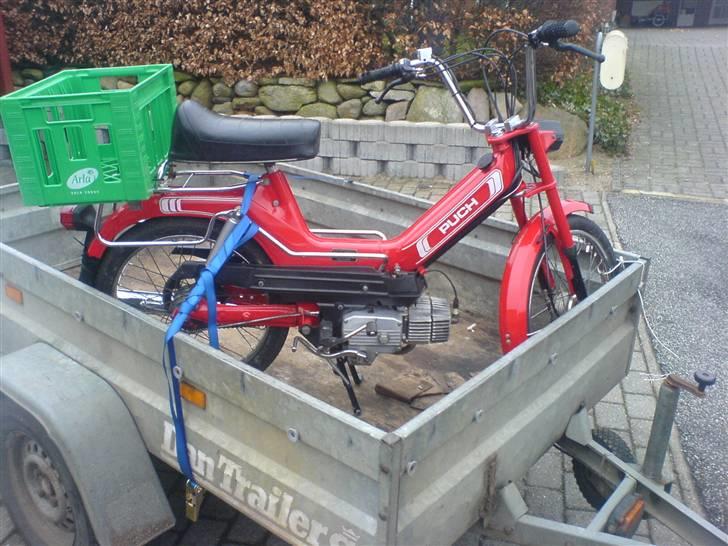 Min fine Puch Maxi 2 gear inden salg - På traileren igen, beskyttelse på bagskærmen hvis den nu skulle flytte sig.. billede 10