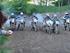 Forskellige motocross billeder