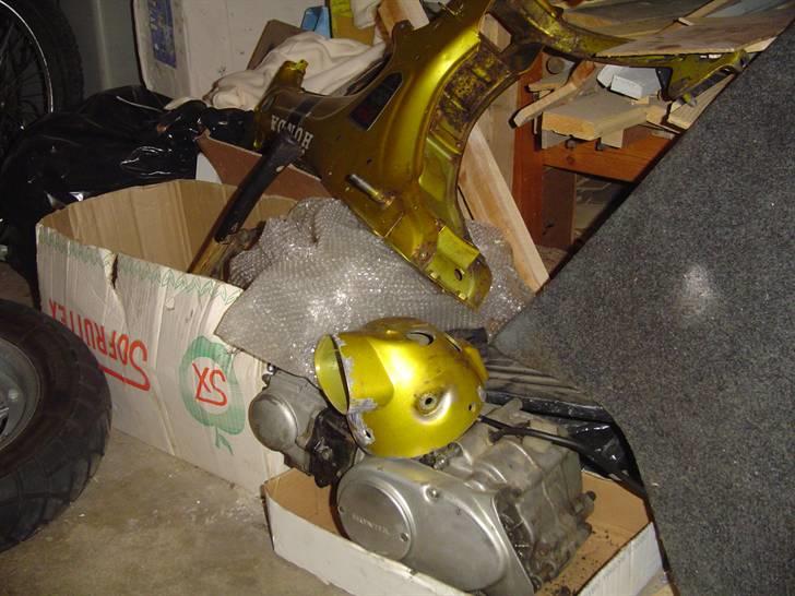 Min Honda Dax - Alle 3. billede 19