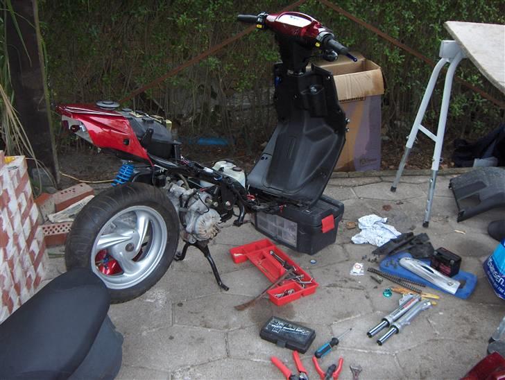 Hot Projekt 08/09 billede 1