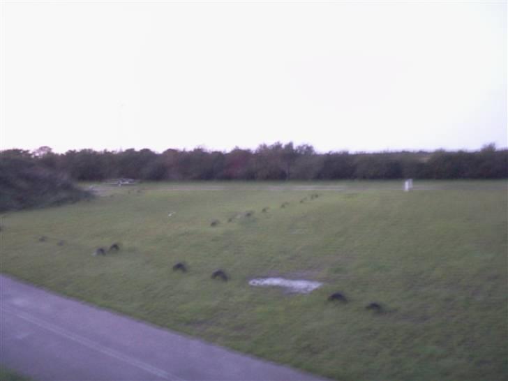 HSW 09 - Faurholt banen! billede 32