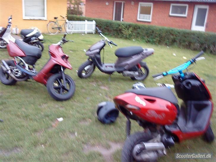 TEAM´BONDE´RØV !! billede 16