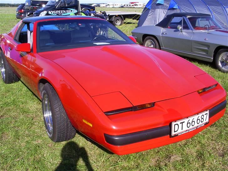 Mosten raceday 08 billede 16