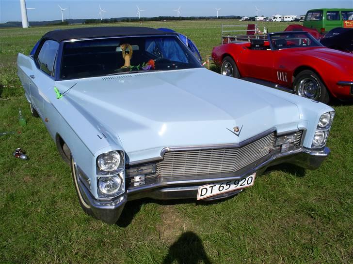 Mosten raceday 08 billede 19