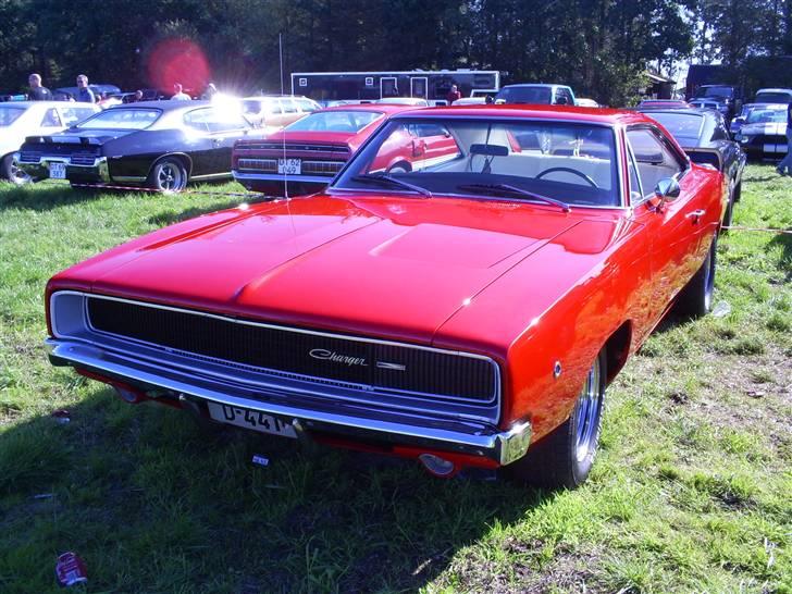 Mosten raceday 08 billede 24