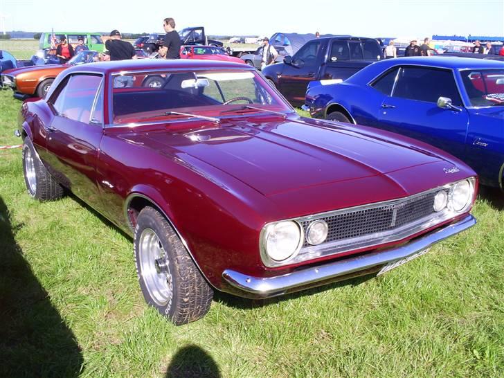 Mosten raceday 08 billede 28