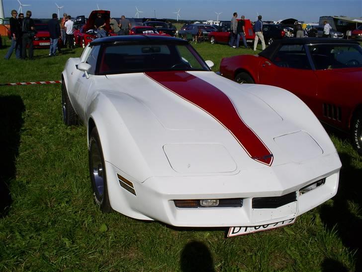 Mosten raceday 08 billede 42