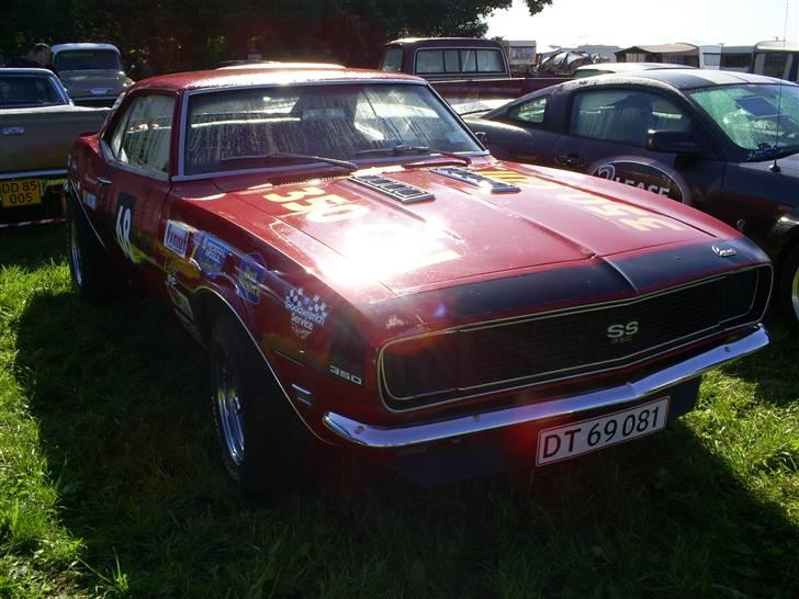 Mosten raceday 08 billede 46