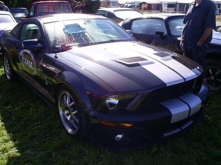 Mosten raceday 08 billede 47