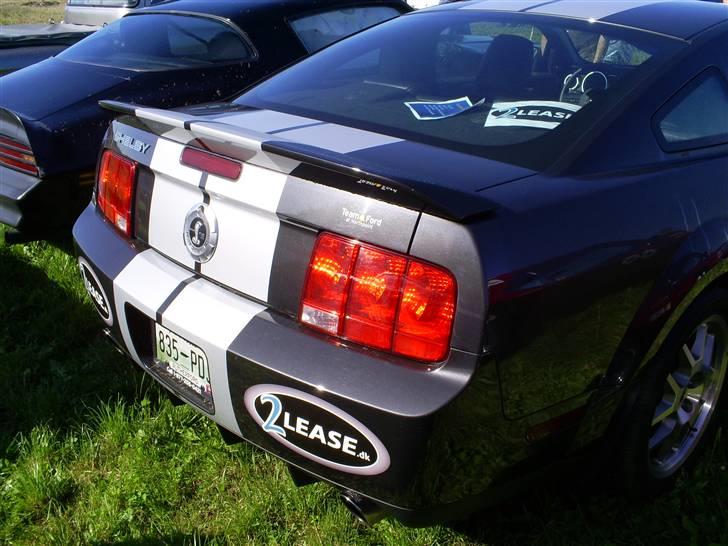 Mosten raceday 08 billede 48