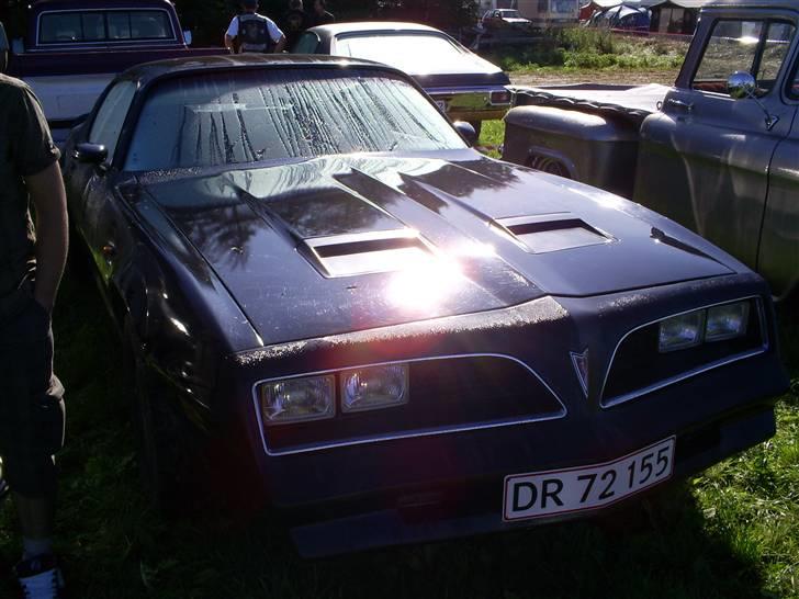 Mosten raceday 08 billede 49