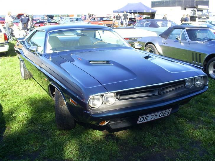 Mosten raceday 08 billede 62