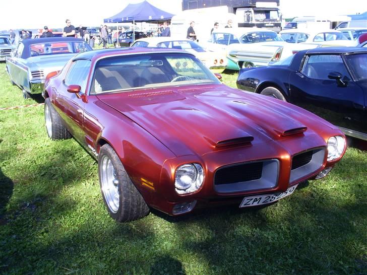 Mosten raceday 08 billede 64