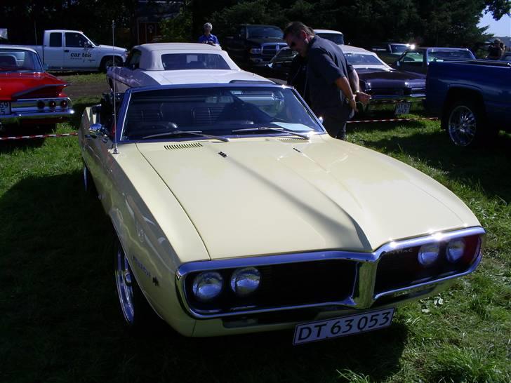 Mosten raceday 08 billede 86