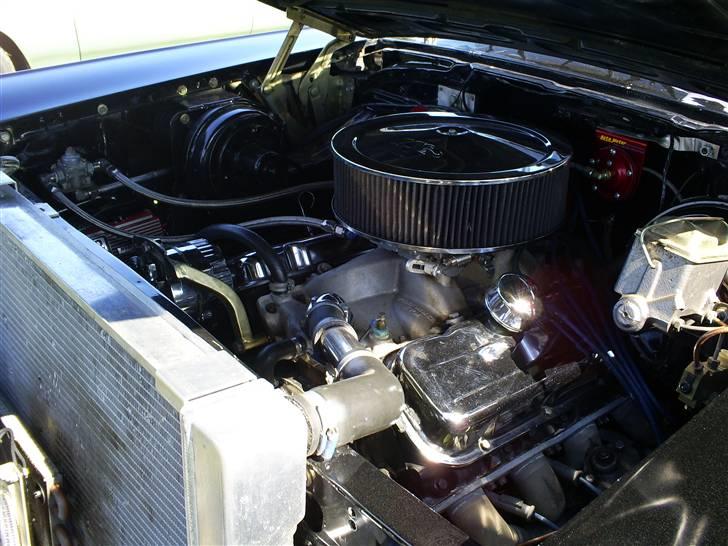 Mosten raceday 08 billede 102