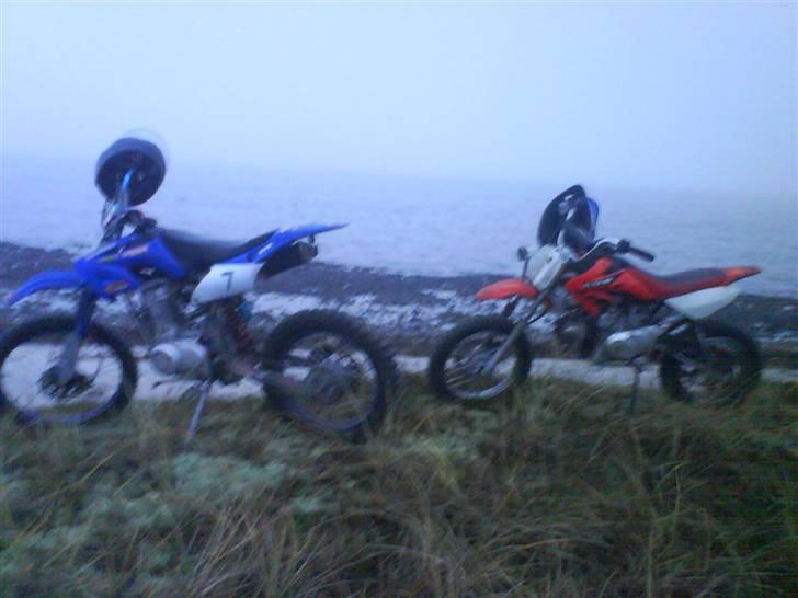 Honda kopi crosser 150cc - Strand/ skov tur billede 4