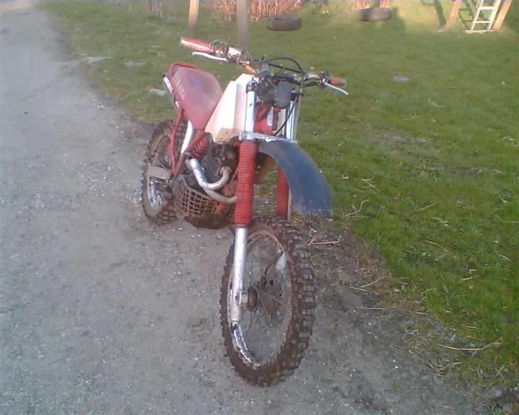 Yamaha tt 600 billede 4