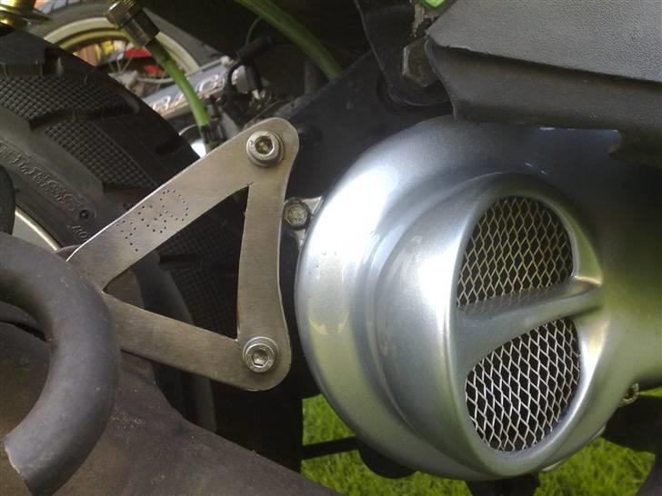 Insprtling af grisetryne - Monteret .. self med gitter :D billede 12