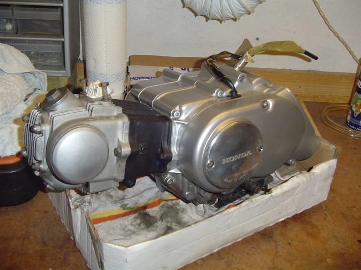 Min Honda Dax - Ny-malet motor. billede 31