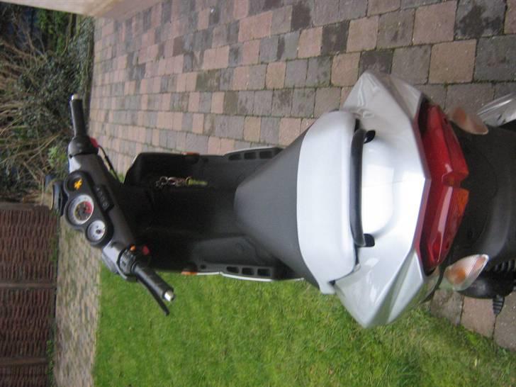 Den Grimme Ælling  billede 1