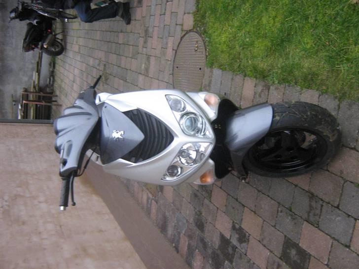 Den Grimme Ælling  billede 2