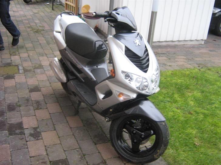 Den Grimme Ælling  billede 4