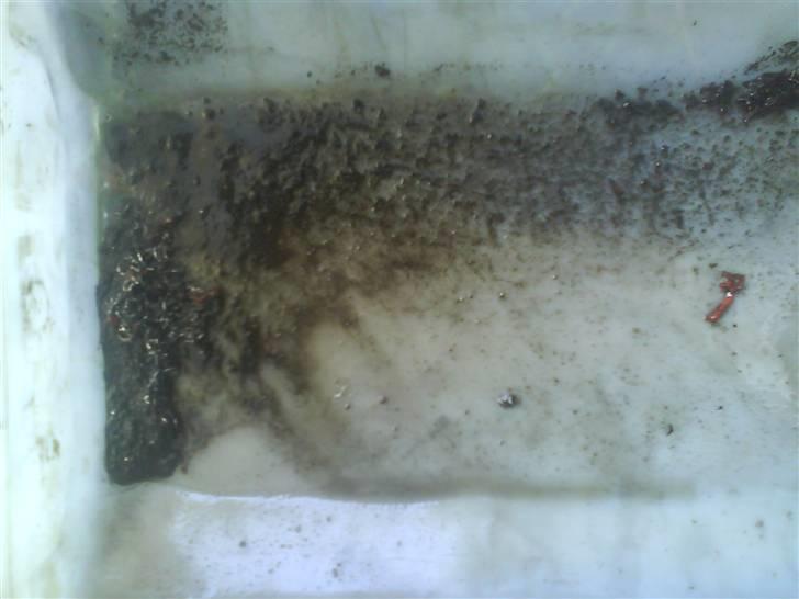 Yamaha fs1 2RU og Yamaha rs 125 Renovering/Tuning projekt billede 77