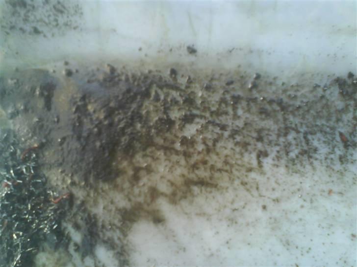 Yamaha fs1 2RU og Yamaha rs 125 Renovering/Tuning projekt billede 78