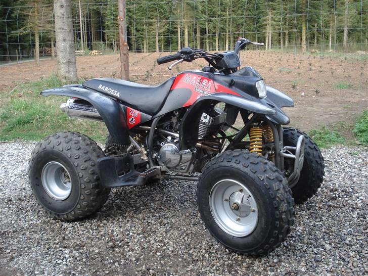 Barossa Magna 250 ccm billede 8