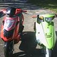 patrick - Crew-jvK -