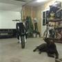 Team # 3 wheelies*.- T.C.R SONIC. <3 .