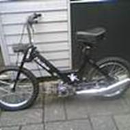 jesper p