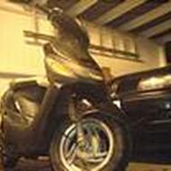 DarK-Eye¤Team NightRiderZ¤  