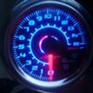 [TEAM STANDER] Reptile !