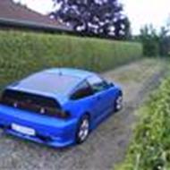 # OJ # René K