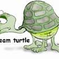 Holm "Team Turtle!" H