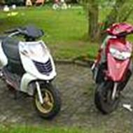 Bjarni * -=Team Dinglerebs=- *