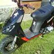 Niklas ( Team Nivå V) N