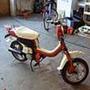 Troels  L