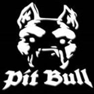 P_i_T_-BU_LL--><-- P