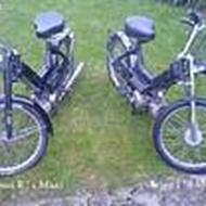 TEAM [SPEED'HOGS] NO. 1