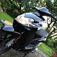 TEAM BAGGE RACING. M.BENDTSEN #1 (7D) .