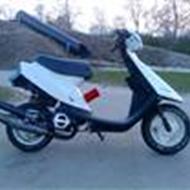 'FREDERICA' Jeff L .