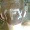 ¬»8300•Flemming'»® F