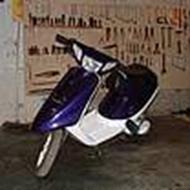 jan d