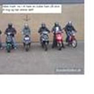 ** team racing pralte** *  M